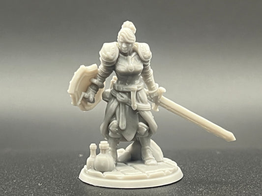 Human Female Paladin Character Figure Fantasy Tabletop Game Dungeons and Dragons 3D Resin Printed