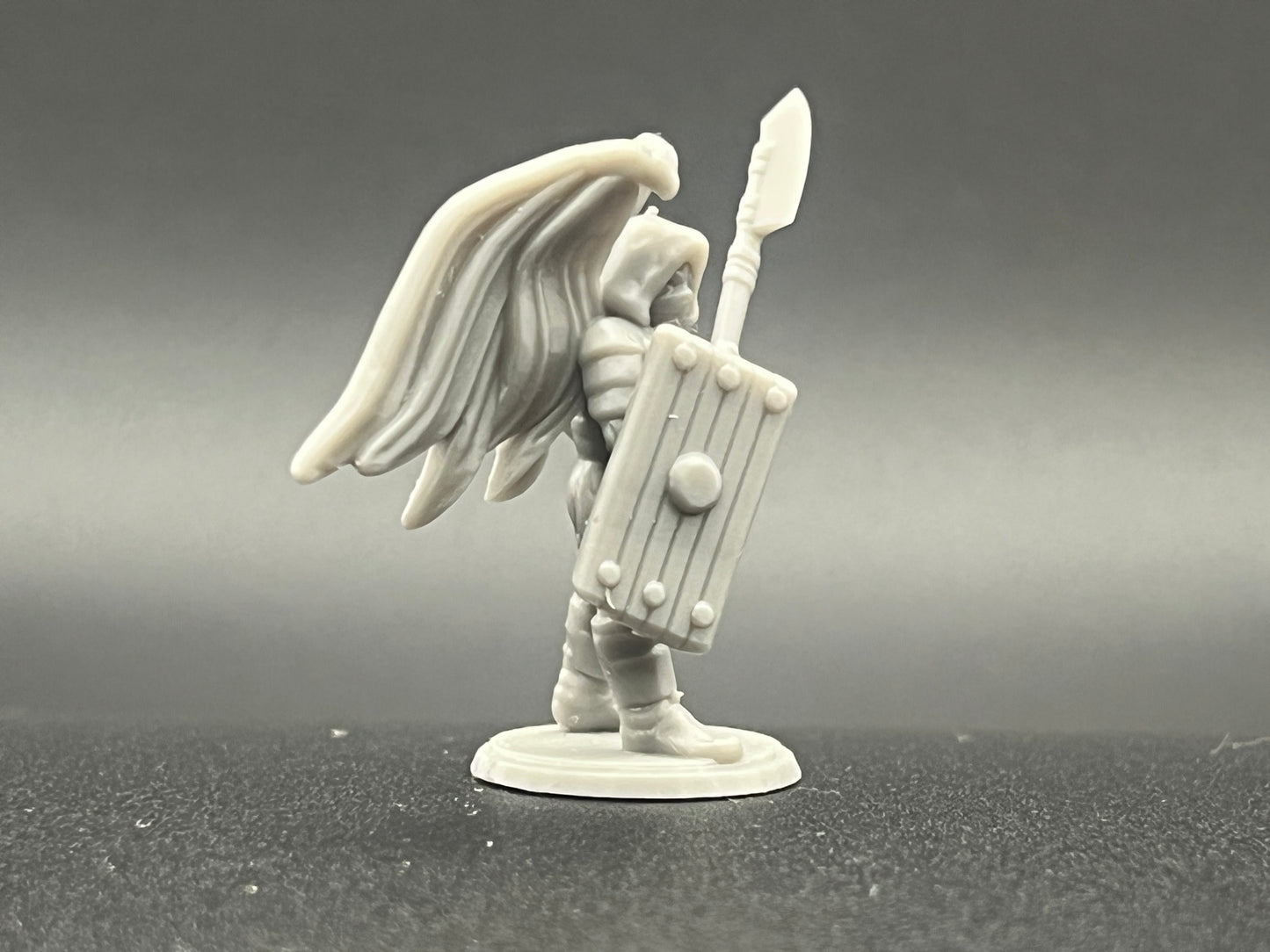 Winged Guardian Character Figure Fantasy Tabletop Game Dungeons and Dragons 3D Resin Printed