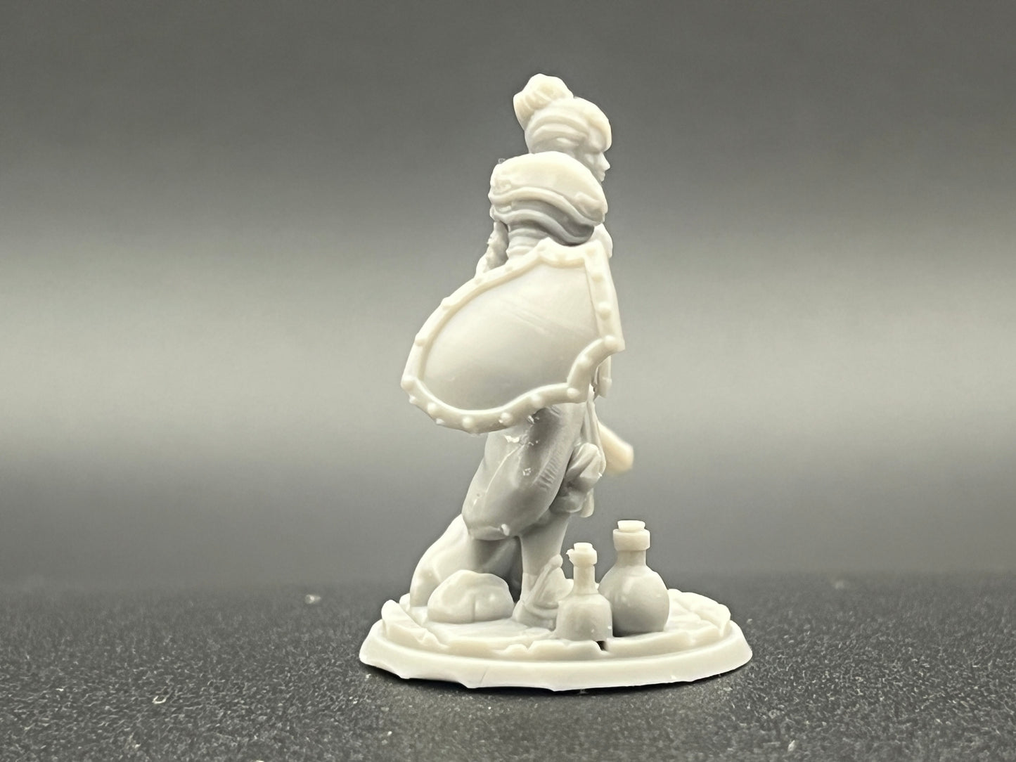 Human Female Paladin Character Figure Fantasy Tabletop Game Dungeons and Dragons 3D Resin Printed