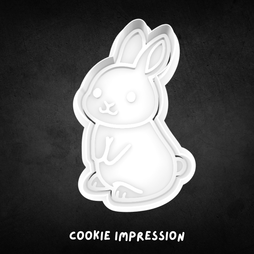 Cute Standing Bunny Cookie Cutter and Stamp