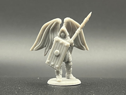 Winged Guardian Character Figure Fantasy Tabletop Game Dungeons and Dragons 3D Resin Printed