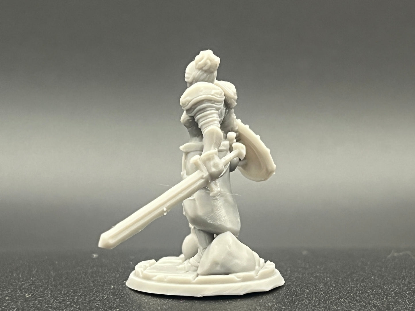 Human Female Paladin Character Figure Fantasy Tabletop Game Dungeons and Dragons 3D Resin Printed