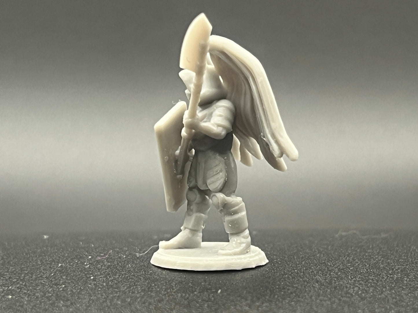 Winged Guardian Character Figure Fantasy Tabletop Game Dungeons and Dragons 3D Resin Printed